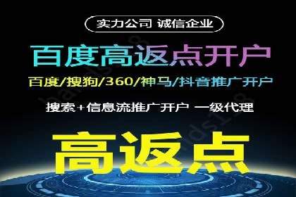 成功案例揭秘：百度竞价账户托管的运营之道